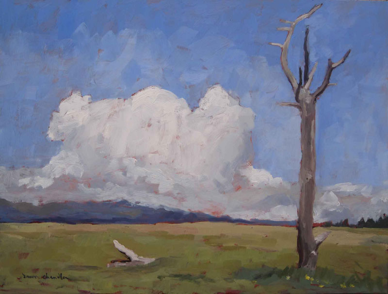 meadow below baldy - oil painting by dawn chandler