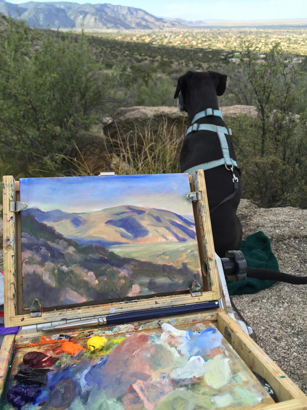 artist Dawn Chandler painting en plain air at la cueva picnic area above albuquerque with her brave companion standing guard