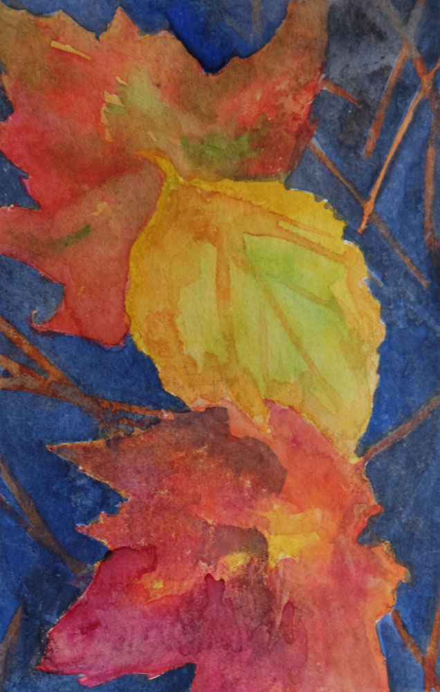 dawnchandler_2016_watercolor-vermont-maple-leaf-study_01_1000px