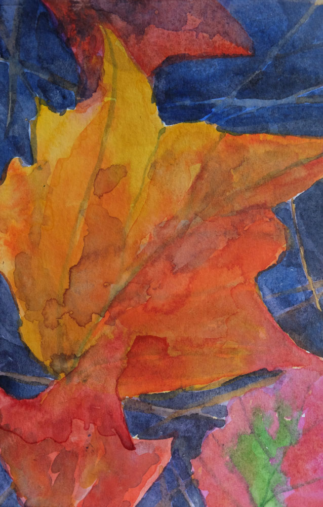 dawnchandler_2016_watercolor-vermont-maple-leaf-study_02_1000px