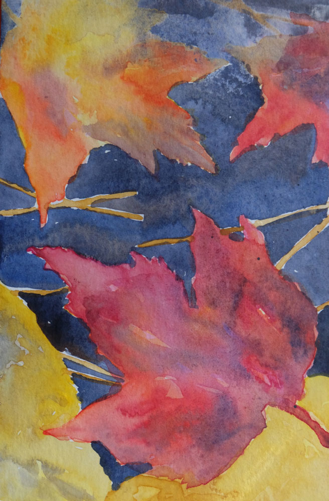 dawnchandler_2016_watercolor-vermont-maple-leaf-study_04_1000px