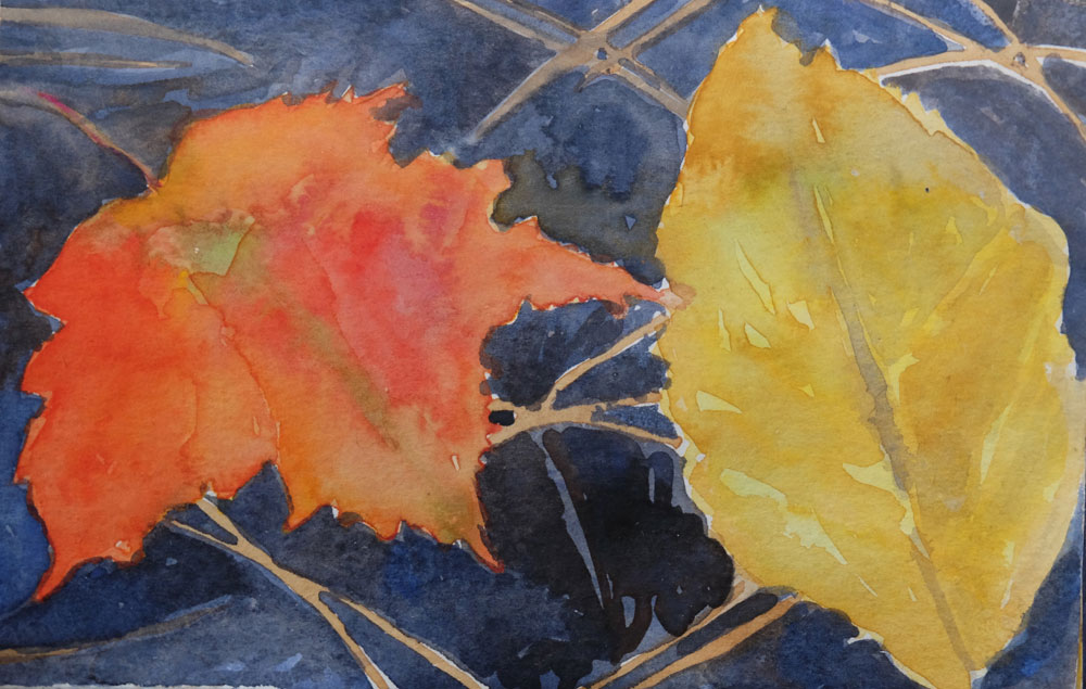 dawnchandler_2016_watercolor-vermont-maple-leaf-study_05_1000px