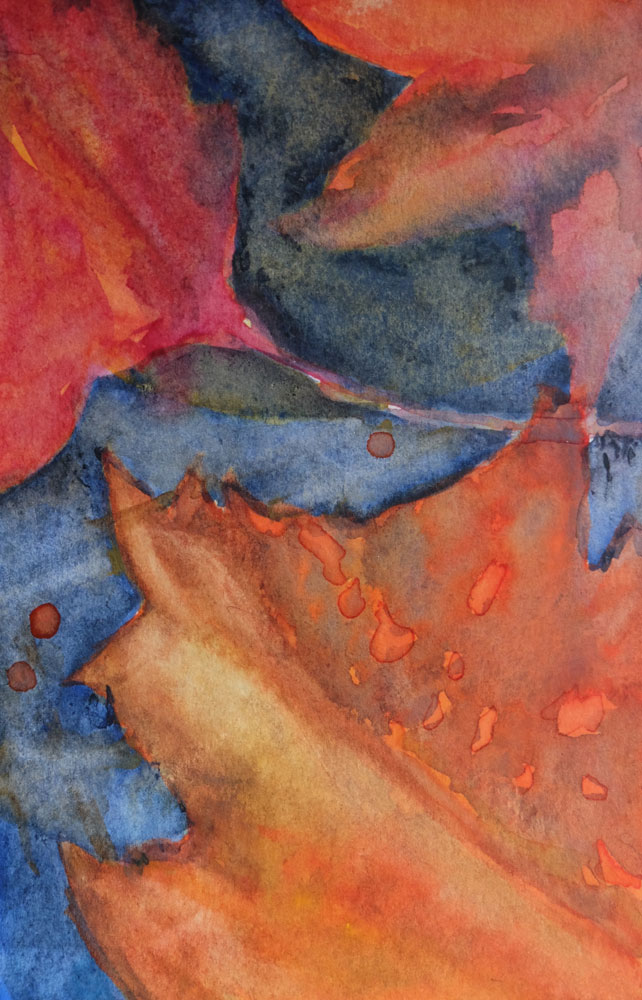 dawnchandler_2016_watercolor-vermont-maple-leaf-study_06_1000px