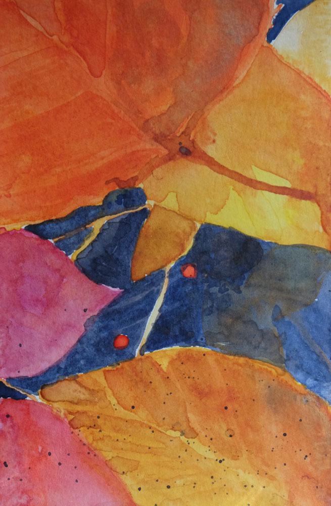 dawnchandler_2016_watercolor-vermont-maple-leaf-study_07_1000px