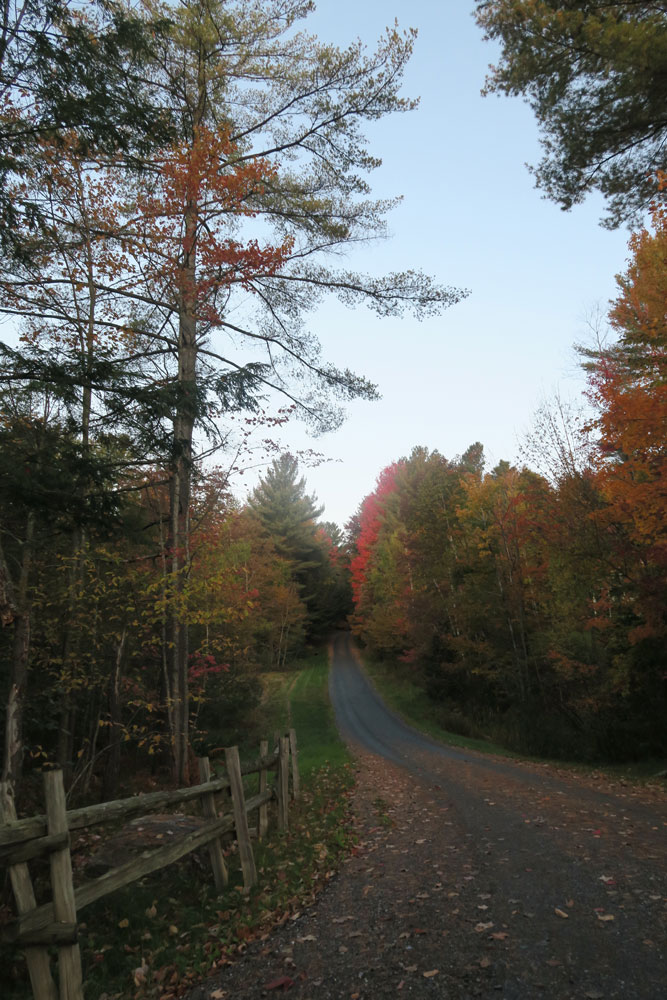 October lane in Stowe Vermont photo by artist Dawn Chandler