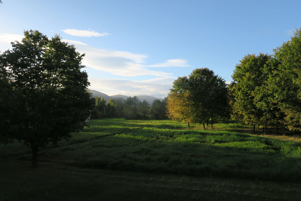 my Hinesburg Vermont sanctuary photo by artist Dawn Chandler