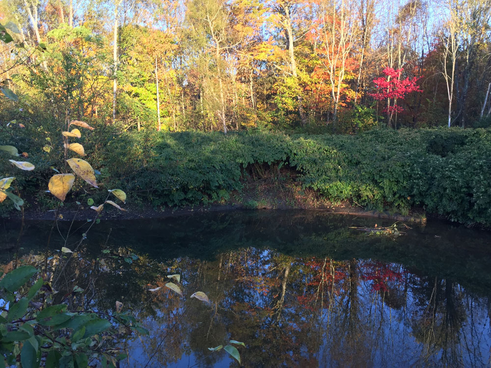 October color along Stowe's river path, Vermont - photo by Santa Fe artist Dawn Chandler