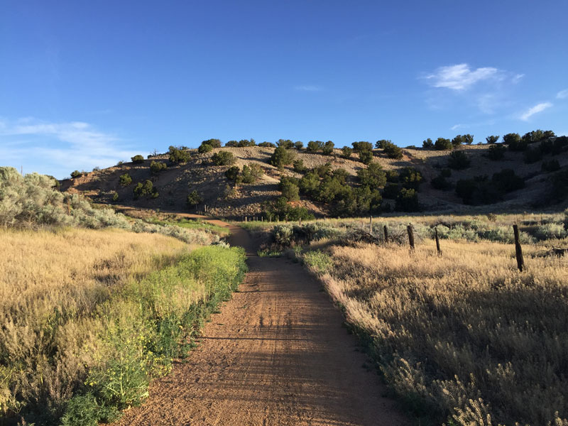A May morning along Santa Fe's Rail Trail; photo by Santa Fe artist Dawn Chandler