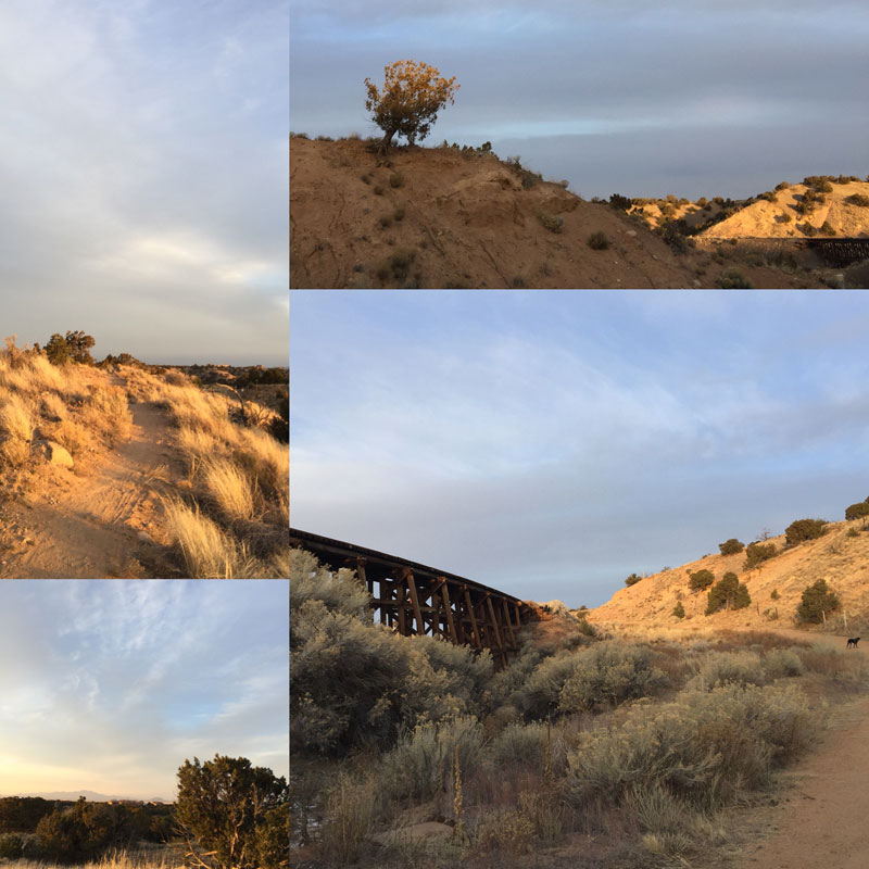 scenes from the winter rail trail by Santa Fe artist Dawn Chandler