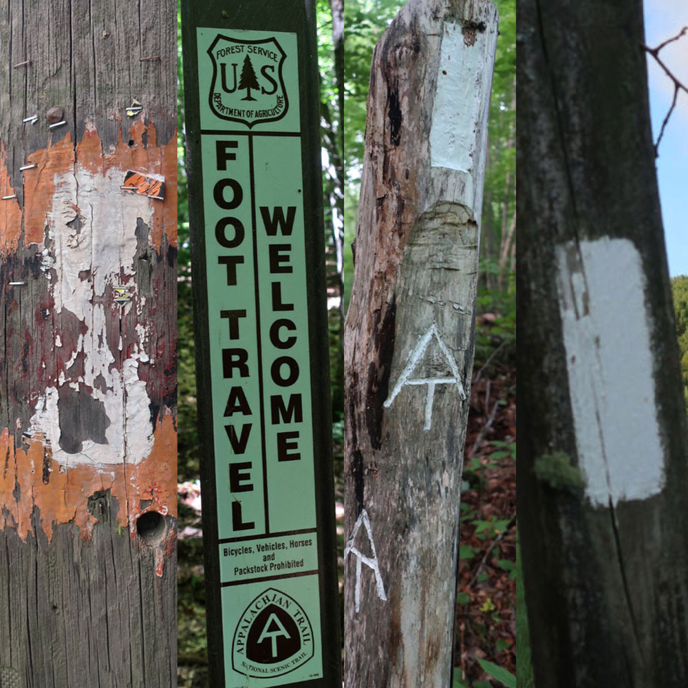 Along the Vermont Appalachian Trail - trail blazes - photo by TaosDawn - Santa Fe artist and backpacker Dawn Chandler