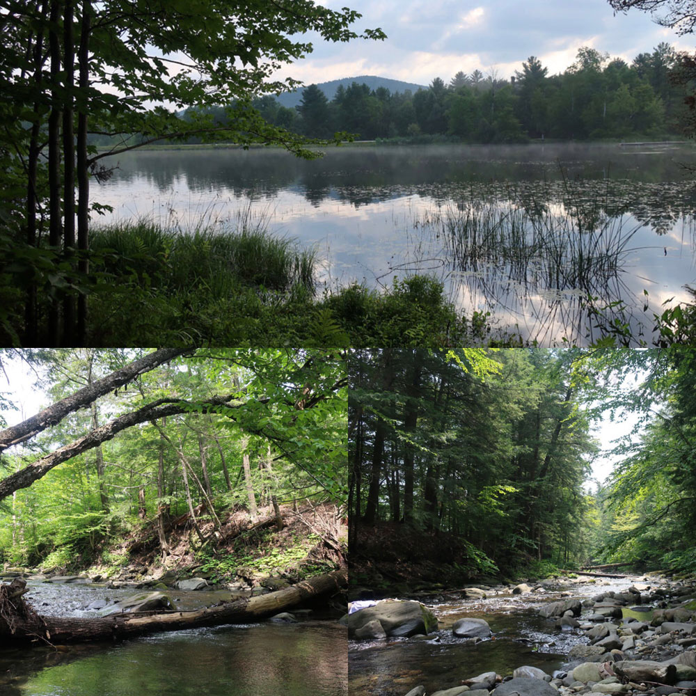 Along the Vermont Appalachian Trail - rivers and ponds - photo by TaosDawn - Santa Fe artist and backpacker Dawn Chandler