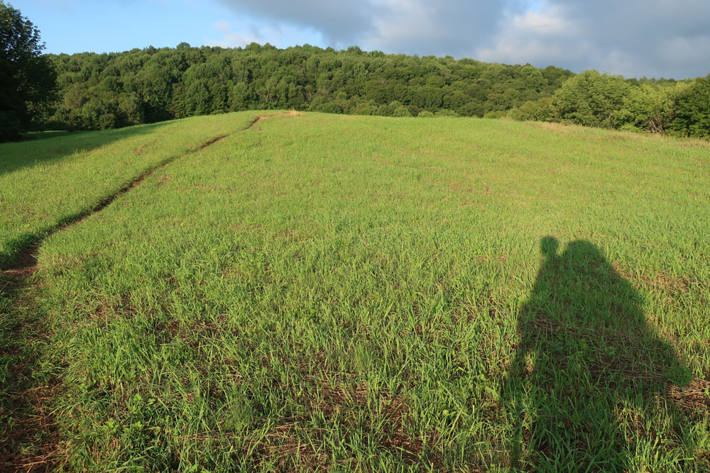 Along the Vermont Appalachian Trail - silhouetted against a morning meadow - photo by TaosDawn - Santa Fe artist and backpacker Dawn Chandler