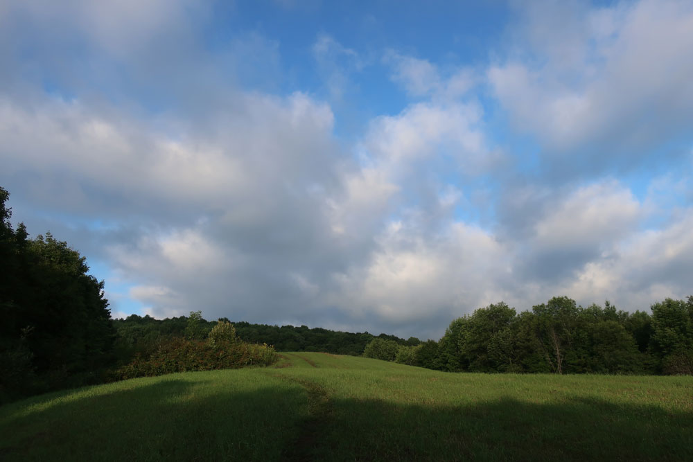 Along the Vermont Appalachian Trail - morning meadow - photo by TaosDawn - Santa Fe artist and backpacker Dawn Chandler