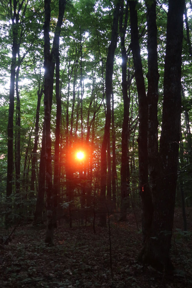 Along the Vermont Appalachian Trail - sunrise below Thistle Hill Shelter - photo by TaosDawn - Santa Fe artist and backpacker Dawn Chandler