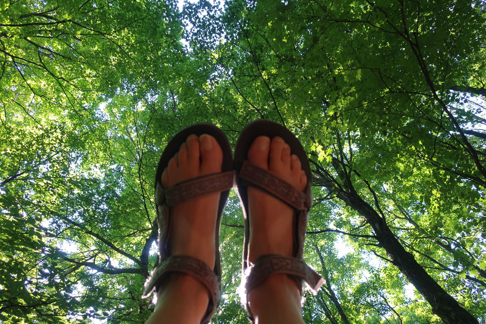 Along the Vermont Appalachian Trail - my hiker's feet silhouetted against a sunlit canopy of vermont trees - photo by TaosDawn - Santa Fe artist and backpacker Dawn Chandler