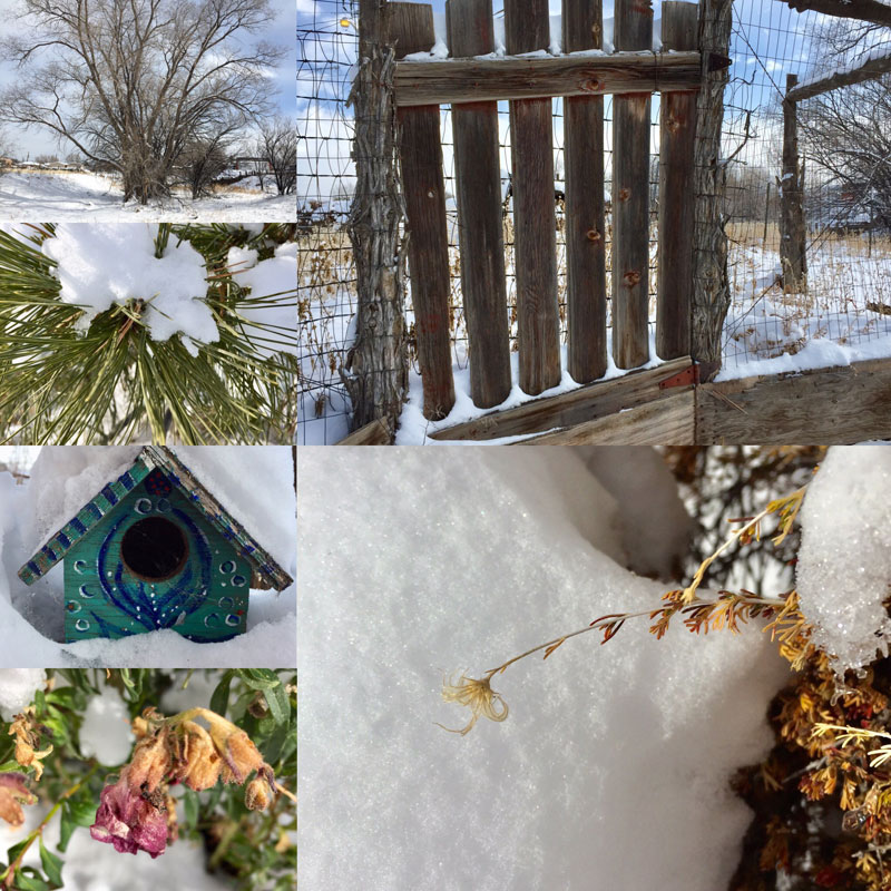 photo montage of Santa Fe snow 28 December 2018 - by Dawn Chandler