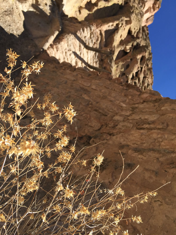The beautiful delicacy of dried flowers against the ancient architectural beauty found at Bandelier National Monument as photographed by artist Dawn Chandler