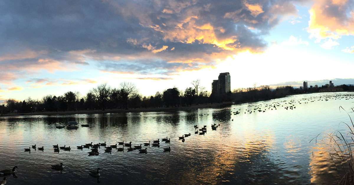 Winter Solstice in City Park, Denver, 2018; photo by artist Dawn Chandler