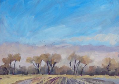 Nebraska Spring Fields and Cottonwoods - plein air landscape oil painting by artist Dawn Chandler