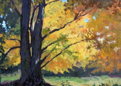 The Glow of October Maple Leaves - Vermont - oil painting by artist Dawn Chandler