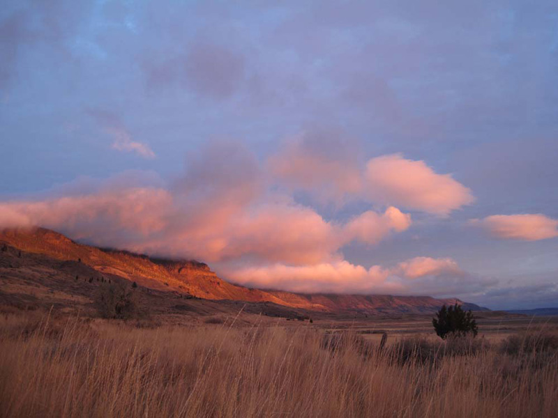 dawn chandler photo of playa creative residency