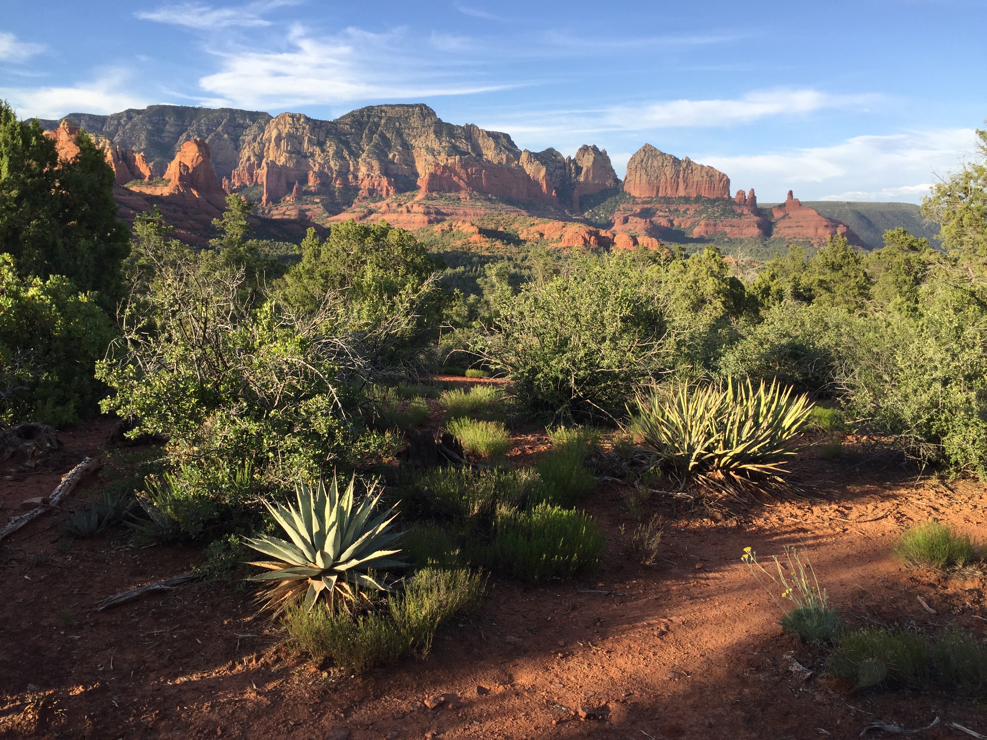 location of santa fe artist dawn chandler's creative change - photo by dawn chandler of the red rocks surrounding sedona, arizona