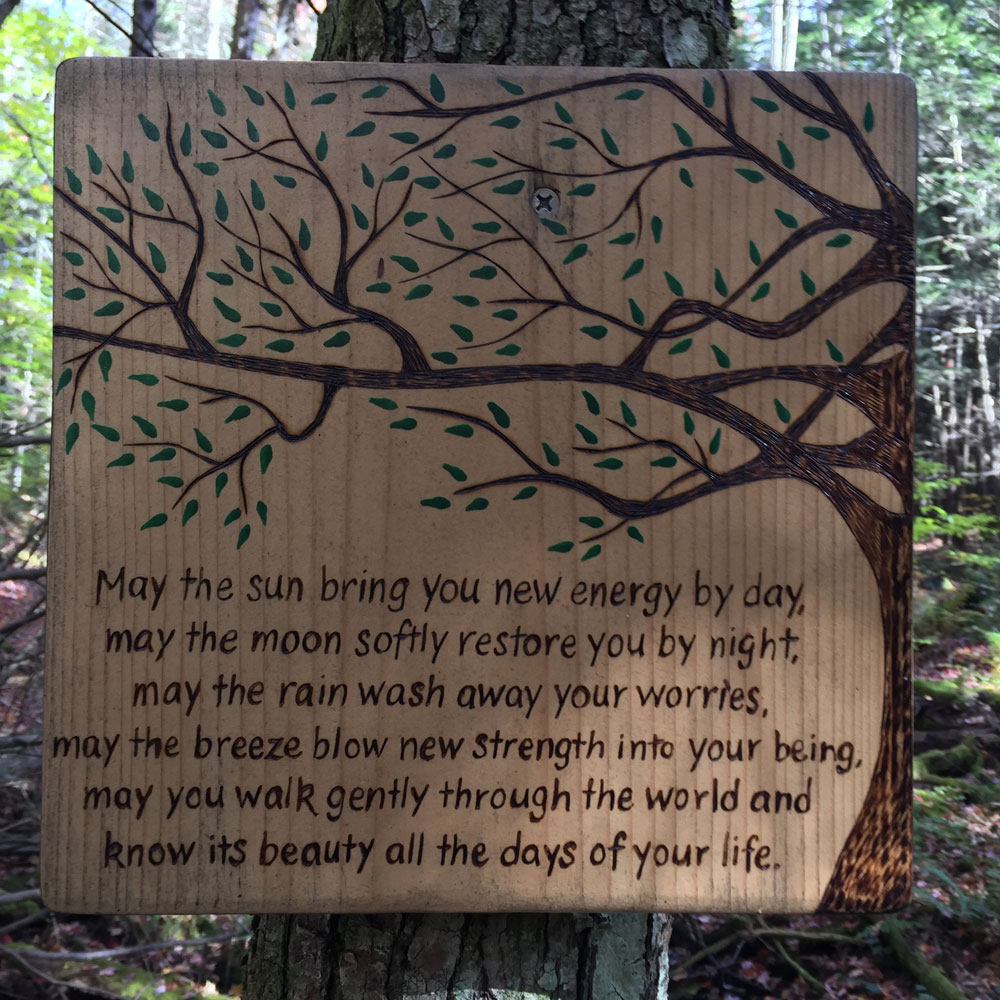 a beatiful plaque noticed by artist dawn chandler deep in a vermont wood