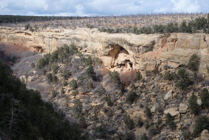 Across the canyons of Mesa Verde, peering into dwellings, photo by Santa Fe artist Dawn Chandler
