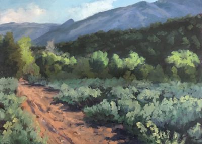 Springtime Road - Taos - New Mexico landscape oil painting by artist Dawn Chandler