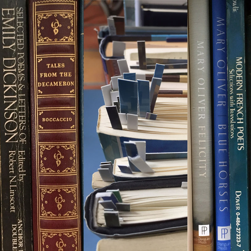 Some of Dawn Chandler's poetry books.