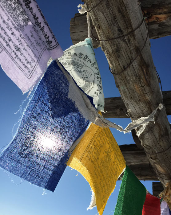 Peace flags at the Frenchy's Park labyrinth in Santa Fe. Photo by Dawn Chandler.