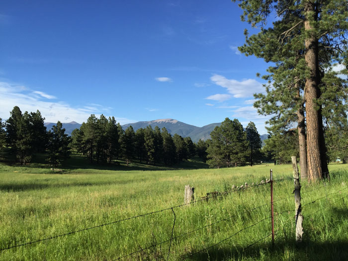 A gorgeous Moreno Valley view, looking north toward Baldy and Touch-Me-Not. Photo by Dawn Chandler.