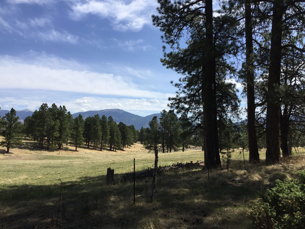 Looking north in the Moreno Valley to the peaks of Touch-Me-Not and Baldy. Photo by artist Dawn Chandler.