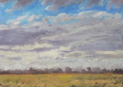Afternoon Cloud Play Over Nebraska Fields - plein air landscape oil painting by artist Dawn Chandler