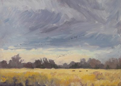 Change of Weather Coming - plein air landscape oil painting by artist Dawn Chandler