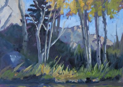 My Wyoming Afternoon - plein air landscape oil painting by artist Dawn Chandler