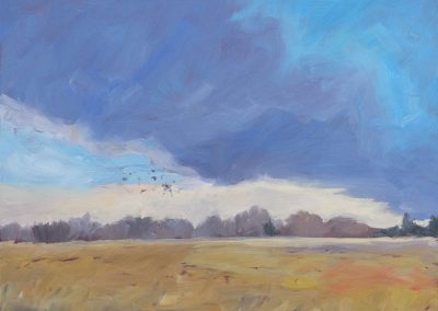 Nebraska Springtime Sky - plein air landscape oil painting by artist Dawn Chandler