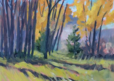 Noontime Clearing Near the Corner - Wyoming plein air landscape oil painting by artist Dawn Chandler