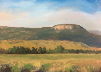Urraca July 9 - Early Morning - Philmont - New Mexico plein air landscape oil painting by artist Dawn Chandler