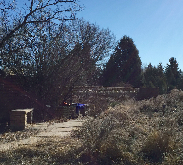 A sunny spot at the Denver Botanic Gardens in January. Photo by artist Dawn Chandler.