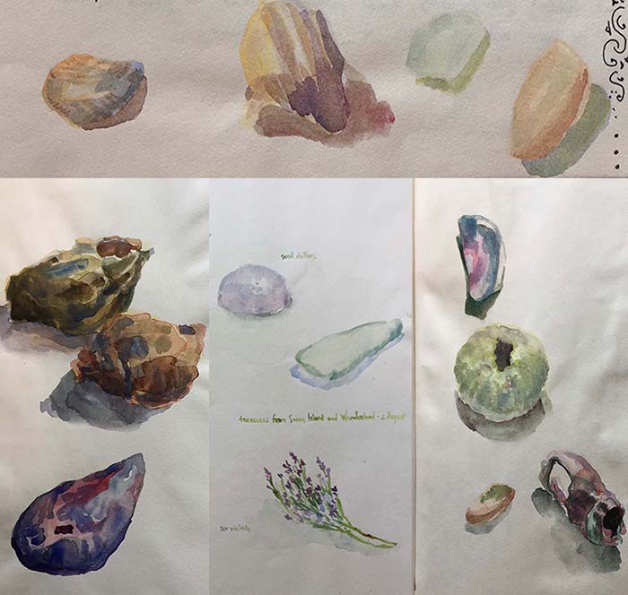 Watercolor sketches of treasures found along the Maine coast, by Dawn Chandler