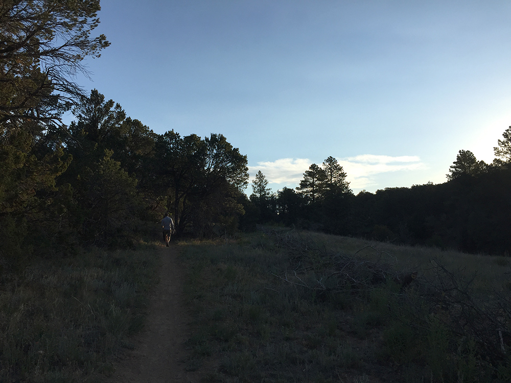 First morning of summer, hiking the Guittierz Trails east of Albuquerque. Photo by Dawn Chandler.