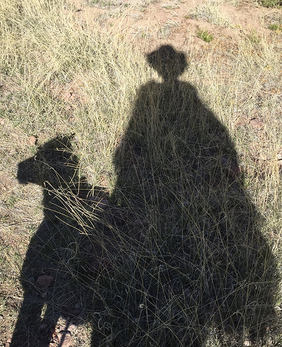 Artist Dawn Chandler and dog, Wilson, silhouetted.