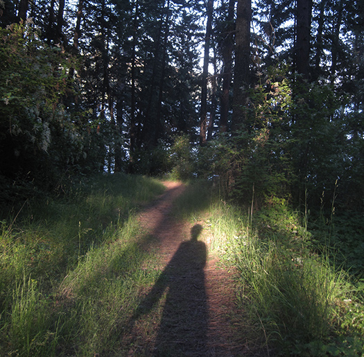 Artist Dawn Chandler's silhouette hiking in an Idaho forest.