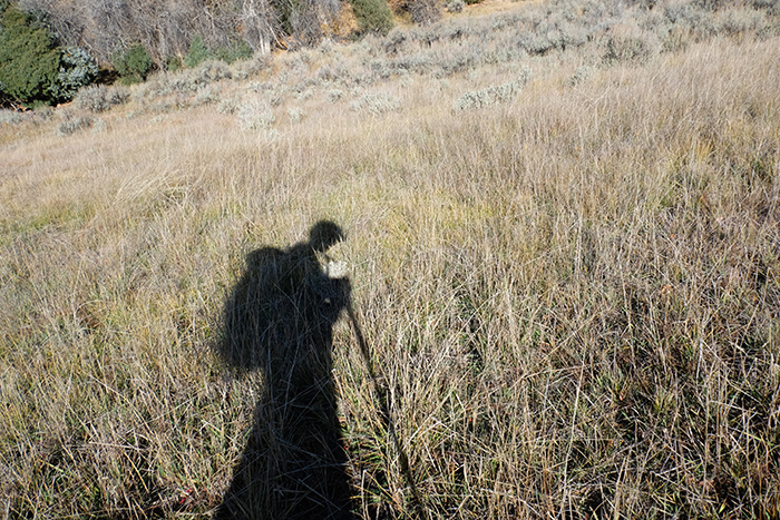 Artist Dawn Chandler's silhouette hiking at Brush Creek Ranch, Wyoming