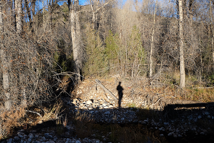 Artist Dawn Chandler's silhouette hiking at Brush Creek Ranch, Wyoming