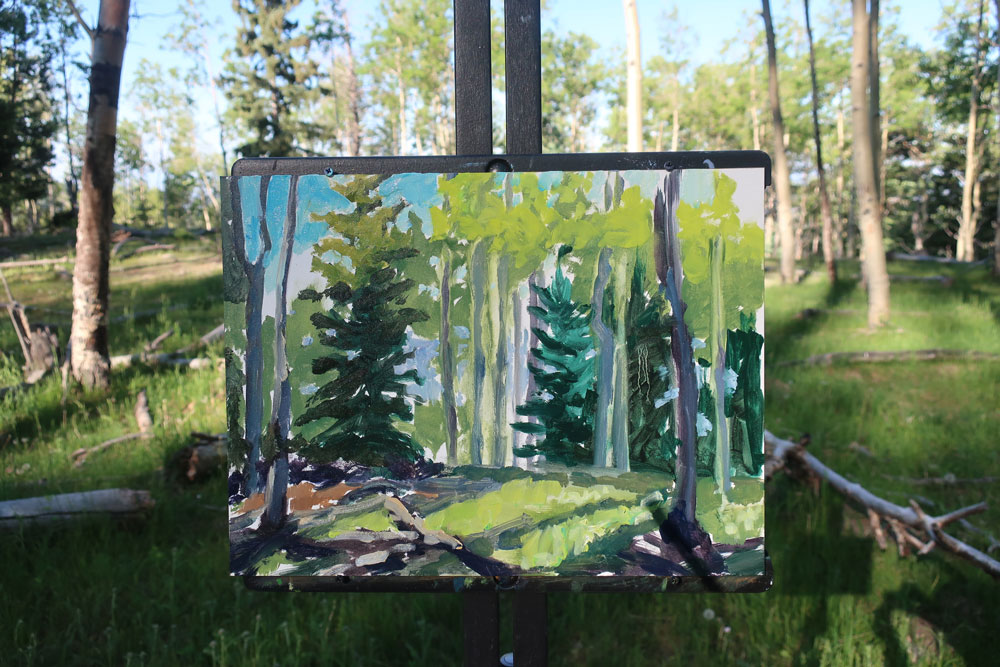 Aspen forest plein air painting by Dawn Chandler -considering the play of lights and darks in the foreground.