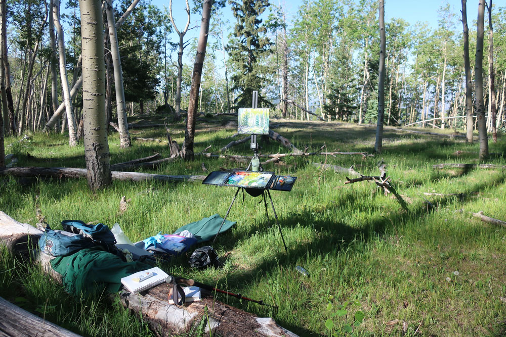 Artist Dawn Chandler's plein air painting rig, set up in an aspen forest above Santa Fe, New Mexico