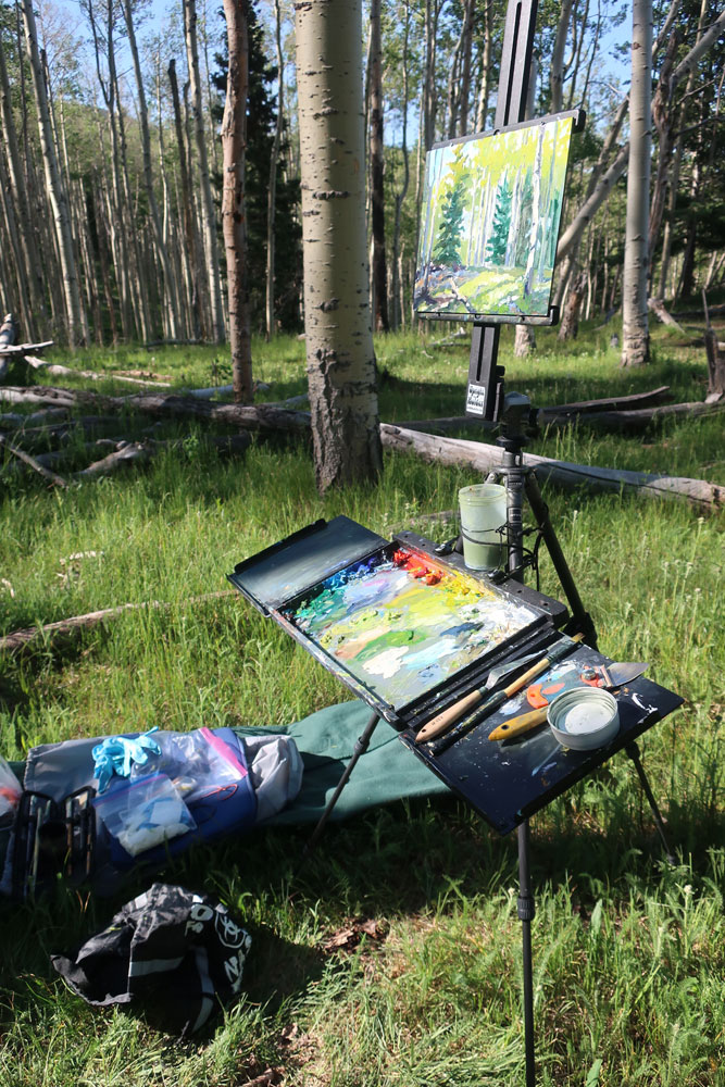 Artist Dawn Chandler's plein air painting rig, in the New Mexico's Santa Fe National Forest.