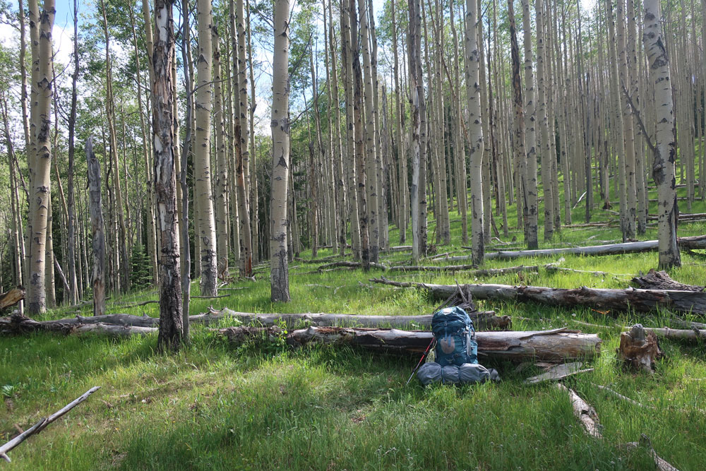 Artist Dawn Chandler's little painting oasis tucked away in the aspen grove.